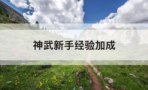 神武新手经验加成