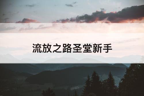 流放之路圣堂新手