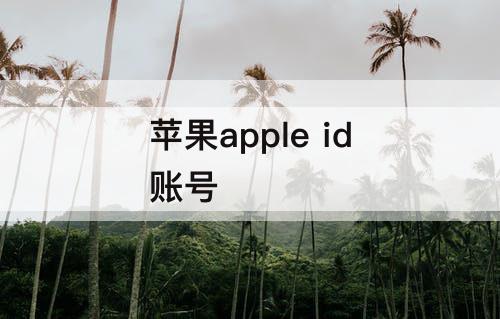 苹果apple id账号