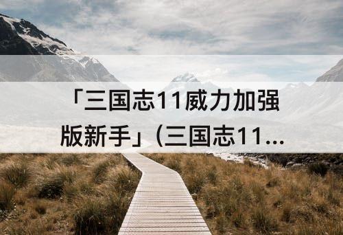 「三国志11威力加强版新手」(三国志11威力加强版新手251刘备)