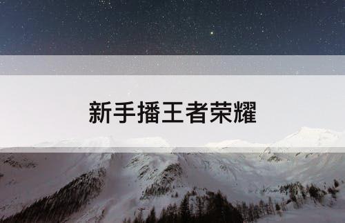 新手播王者荣耀