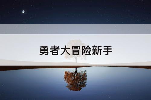 勇者大冒险新手