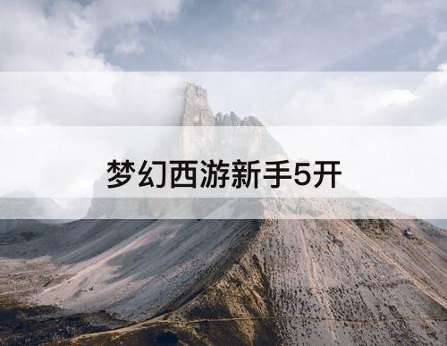 梦幻西游新手5开
