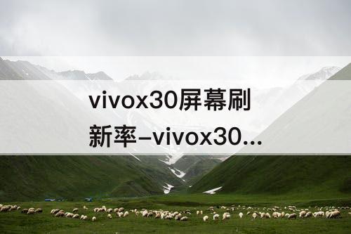 vivox30屏幕刷新率-vivox30屏幕刷新率多少hz