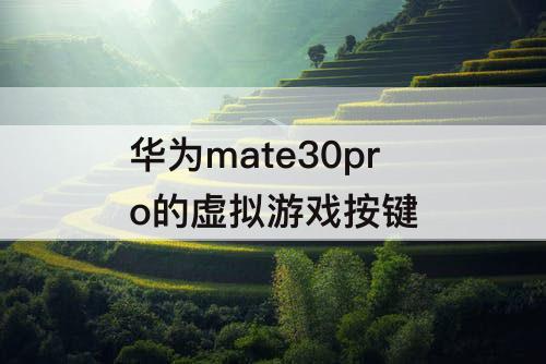 华为mate30pro的虚拟游戏按键