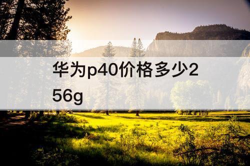 华为p40价格多少256g