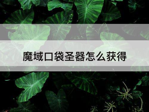 魔域口袋圣器怎么获得