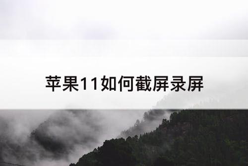 苹果11如何截屏录屏