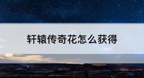 轩辕传奇花怎么获得