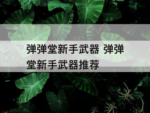 弹弹堂新手武器 弹弹堂新手武器推荐