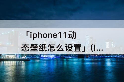 「iphone11动态壁纸怎么设置」(iphone11动态壁纸怎么设置不了)