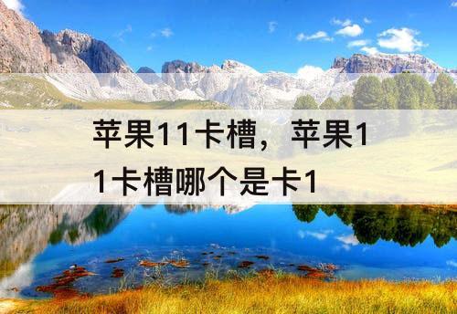 苹果11卡槽，苹果11卡槽哪个是卡1