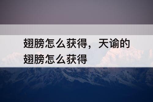 翅膀怎么获得，天谕的翅膀怎么获得