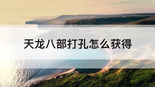 天龙八部打孔怎么获得