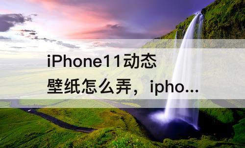 iPhone11动态壁纸怎么弄，iphone11动态壁纸怎么弄有声音