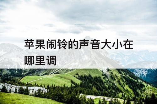 苹果闹铃的声音大小在哪里调