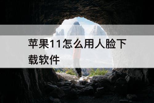 苹果11怎么用人脸下载软件