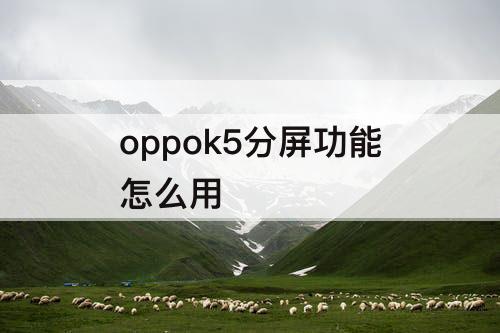 oppok5分屏功能怎么用