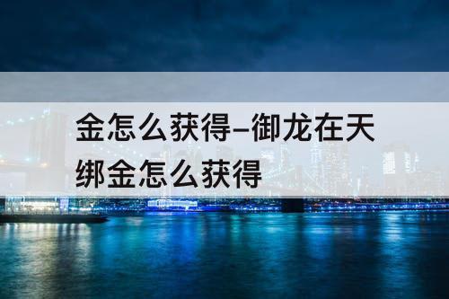 金怎么获得-御龙在天绑金怎么获得