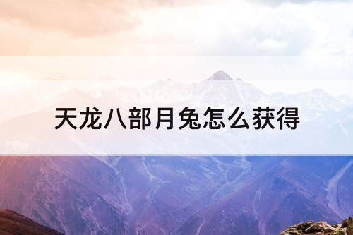 天龙八部月兔怎么获得