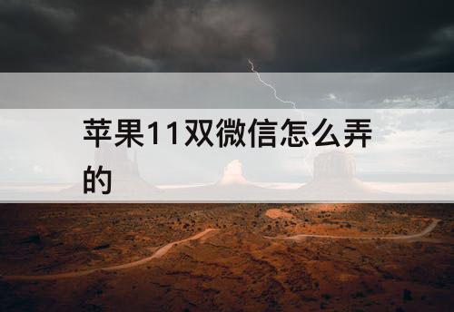 苹果11双微信怎么弄的
