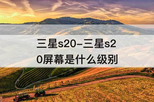 三星s20-三星s20屏幕是什么级别