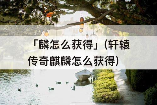 「麟怎么获得」(轩辕传奇麒麟怎么获得)