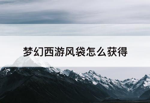 梦幻西游风袋怎么获得