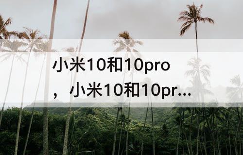 小米10和10pro，小米10和10pro哪个好用