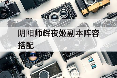 阴阳师辉夜姬副本阵容搭配
