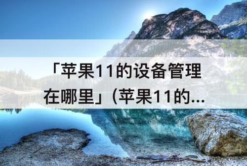 「苹果11的设备管理在哪里」(苹果11的设备管理在哪里找?)