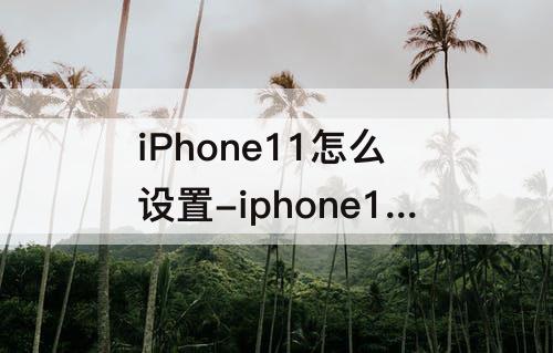iPhone11怎么设置-iphone11怎么设置动态壁纸不按压播放