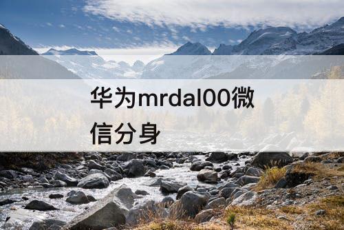 华为mrdal00微信分身