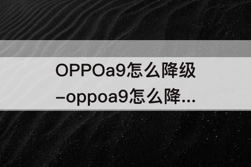 OPPOa9怎么降级-oppoa9怎么降级系统