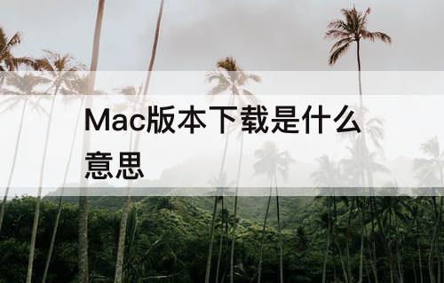 Mac版本下载是什么意思