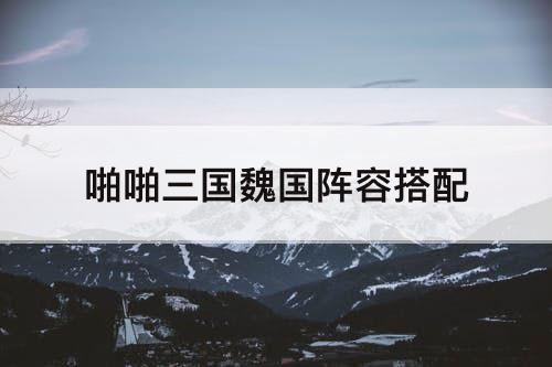 啪啪三国魏国阵容搭配