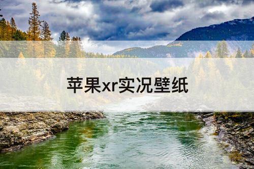 苹果xr实况壁纸