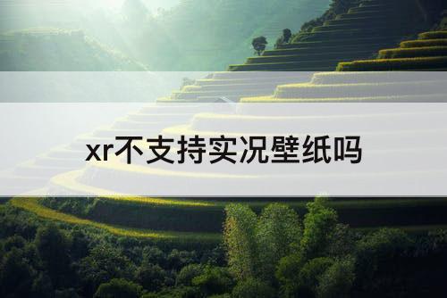xr不支持实况壁纸吗