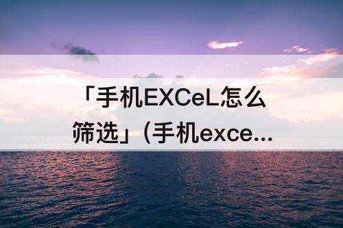 「手机EXCeL怎么筛选」(手机excel怎么筛选出自己想要的内容)