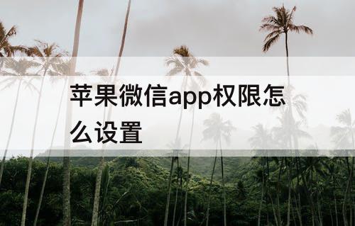 苹果微信app权限怎么设置