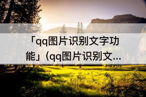 「qq图片识别文字功能」(qq图片识别文字功能在哪)