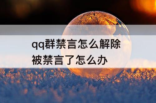 qq群禁言怎么解除 被禁言了怎么办