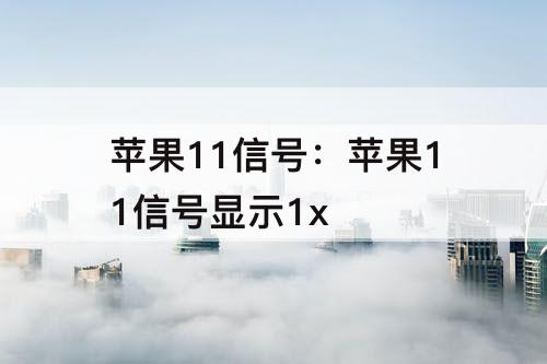 苹果11信号：苹果11信号显示1x
