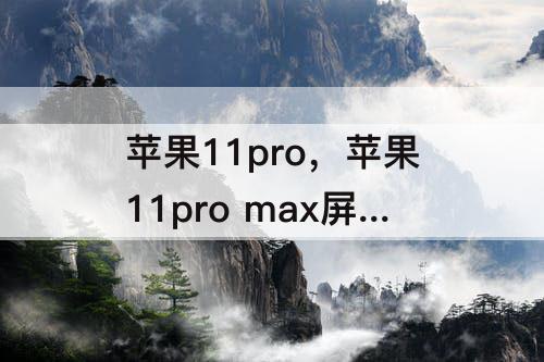苹果11pro，苹果11pro max屏幕刷新率