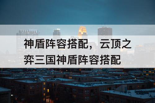 神盾阵容搭配，云顶之弈三国神盾阵容搭配