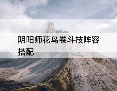 阴阳师花鸟卷斗技阵容搭配