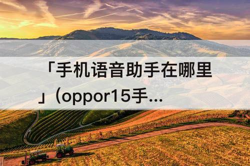 「手机语音助手在哪里」(oppor15手机语音助手在哪里设置)