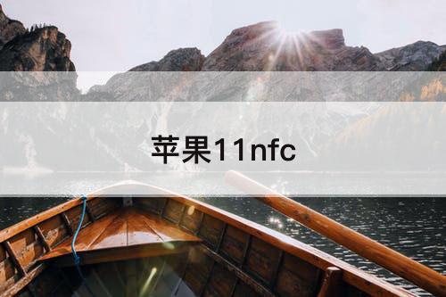 苹果11nfc