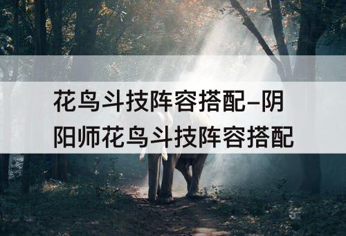 花鸟斗技阵容搭配-阴阳师花鸟斗技阵容搭配