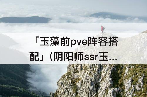 「玉藻前pve阵容搭配」(阴阳师ssr玉藻前pve阵容搭配)